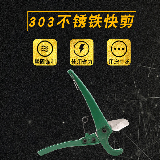 303���P�F���